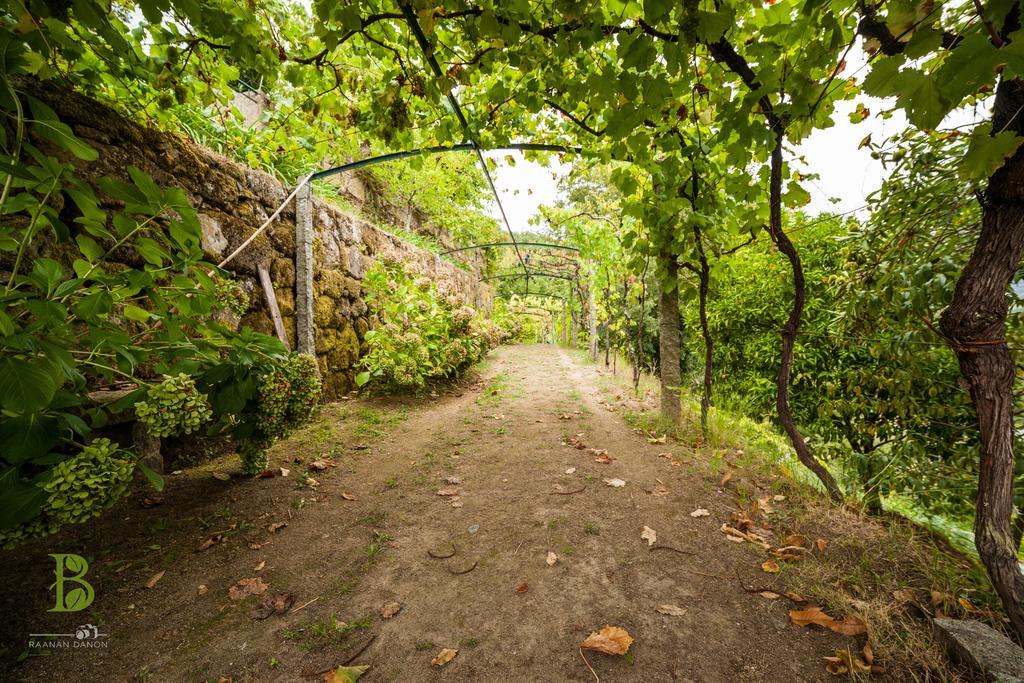 Quinta Da Bouca - Agroturismo Pacos de Gaiolo Δωμάτιο φωτογραφία