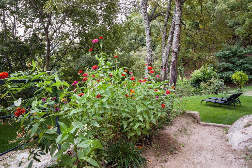 Quinta Da Bouca - Agroturismo Pacos de Gaiolo Δωμάτιο φωτογραφία